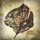 Perfectly Preserved Leaf.png