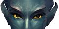 Appearance on sylvari.