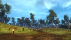 Queen's Forest.jpg