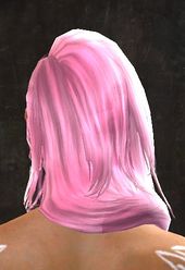 Unique norn female hair back 7.jpg