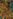 Viper's Run map.jpg