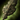 Ancient Boreal Greatsword.png