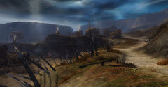 Blood Hill Camps.jpg