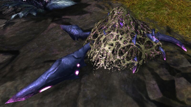 File:Branded Devourer Nest.jpg