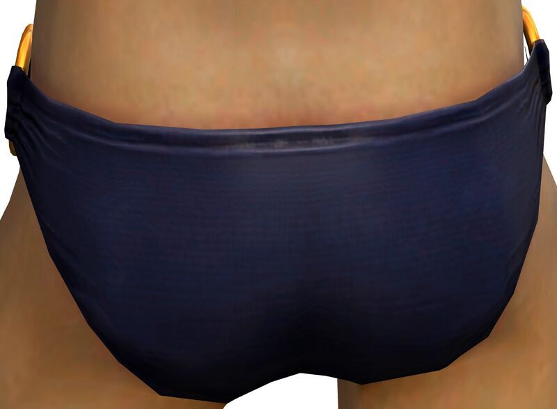 File:Breezy Swim Bottoms male back.jpg