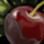 Chocolate Cherry.png