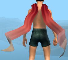 Flowing Silk Backpack.jpg