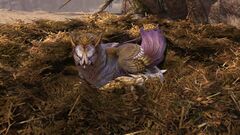 Griffon Roost.jpg