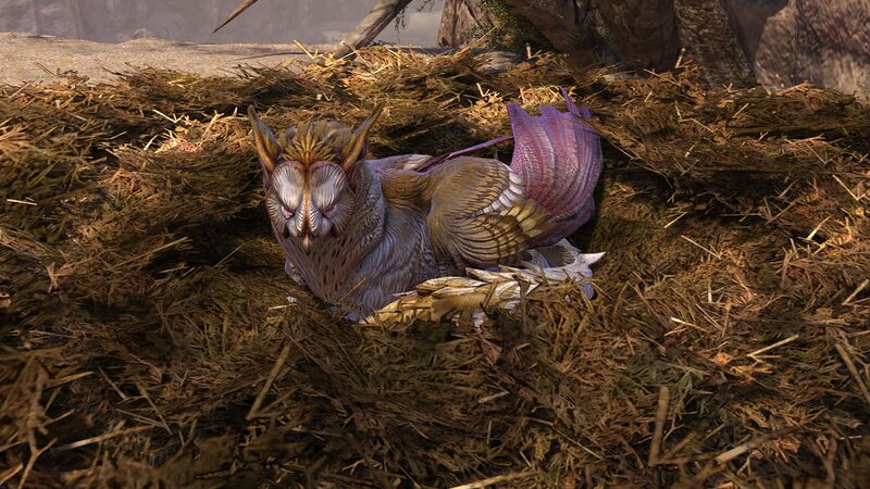 File:Griffon Roost.jpg