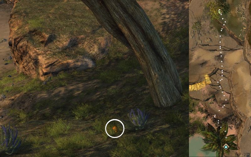 File:Hidden Carrot Hunt 3 map.jpg