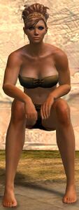 Illusion of Sitting (Attentive) norn female.jpg