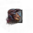 Juvenile Bristleback.png