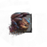 Juvenile Bristleback.png