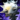 Mistforged Hero's Mace.png