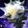 Mistforged Hero's Mace.png