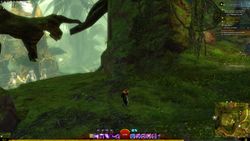 The view from the mask to southwatch.