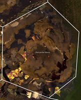 Pericardial Nexus map.jpg