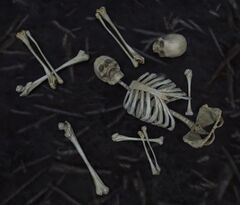 Skeletal Debris.jpg