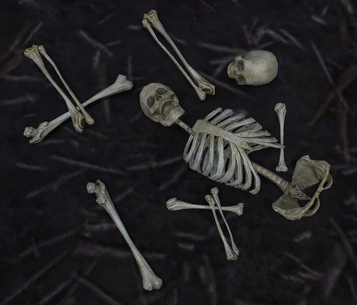 File:Skeletal Debris.jpg