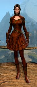 Appearance on light armor.