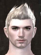Unique human male hair front 9.jpg