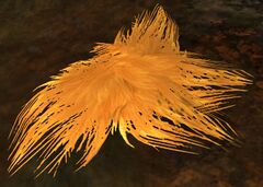 Animal Fur.jpg