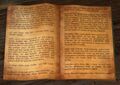 Book (Godslost Swamp).jpg
