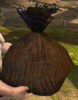 Celestial Tribute (Boar's Challenge held).jpg