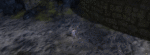 Chak Trail 7.gif