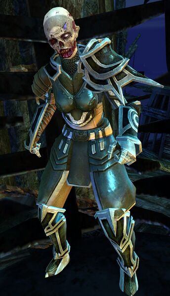 File:Crusader Apatia (Risen).jpg