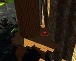 Dark Woods dig spot 12.jpg
