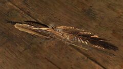 Handful of Ntouka Feathers (object).jpg