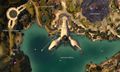 Sanctum Harbor