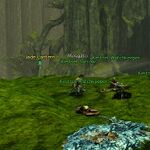 Lighting Echovald location 44.jpeg