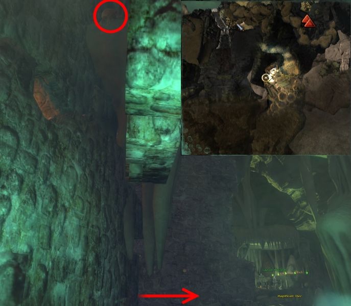 File:Lion's Arch Exterminator 43.jpg