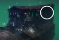 Spawn location of the fish within the Harbinger