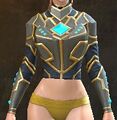 Powered Vest.jpg