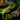 Regurgitated Mass