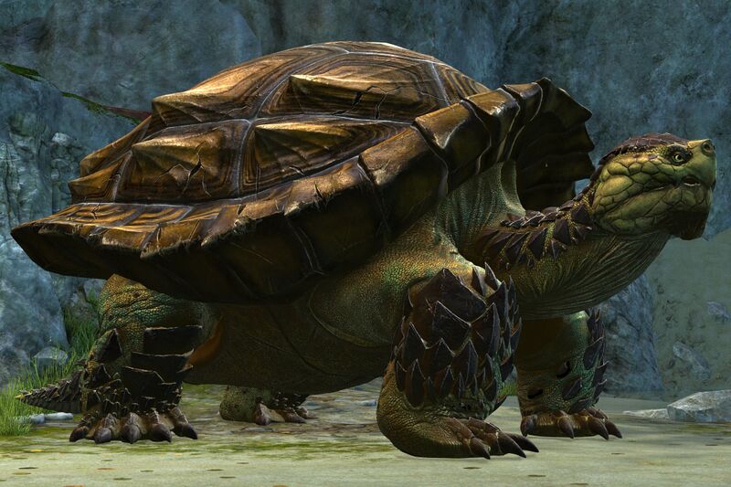 File:Siege Turtle (NPC).jpg