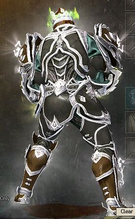 Back view in combat stance