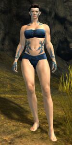 Tourist (speed boons).jpg