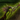 Zhaitan's Argument.png