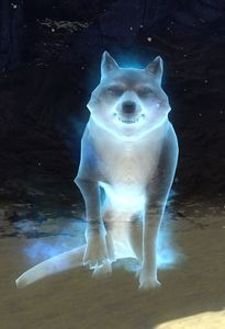 Canis.jpg