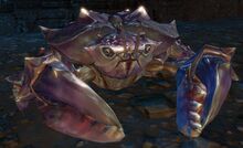 Cave Crab.jpg