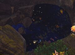 Concentrated Seer Magic.jpg
