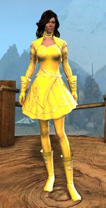 Appearance on light armor.