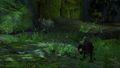 Two untamed Juveniles guarded by a Veteran Smokescale near Teku Nuhoch