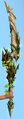 Maguuma Sword.jpg
