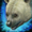 Mini Polar Bear Cub.png
