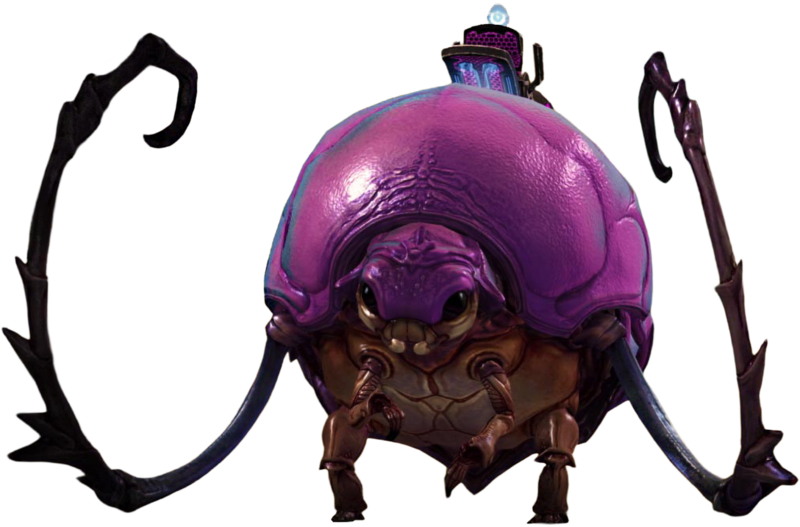 File:Roller Beetle.png